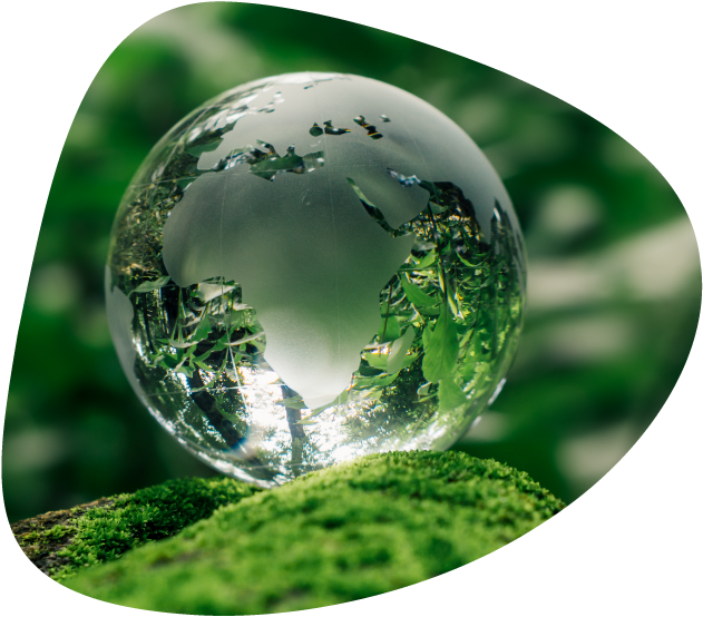 sustainability globe
